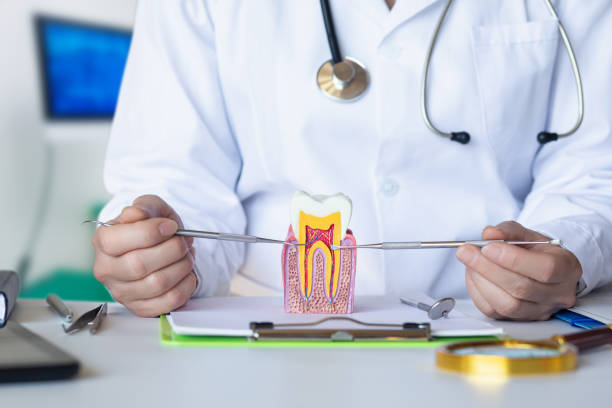 Best Knocked-Out Tooth (Avulsed Tooth) Treatment in Brookside Village, TX